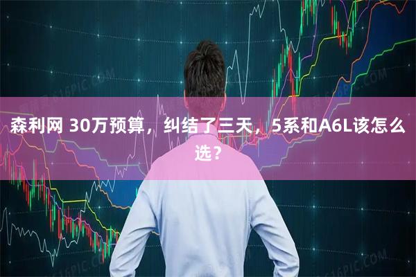 森利网 30万预算，纠结了三天，5系和A6L该怎么选？