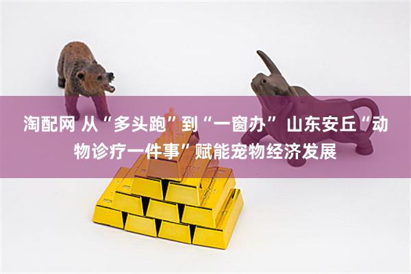 淘配网 从“多头跑”到“一窗办” 山东安丘“动物诊疗一件事”赋能宠物经济发展