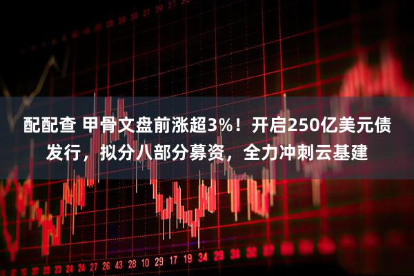 配配查 甲骨文盘前涨超3%！开启250亿美元债发行，拟分八部分募资，全力冲刺云基建