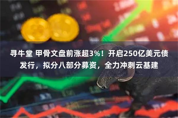 寻牛堂 甲骨文盘前涨超3%！开启250亿美元债发行，拟分八部分募资，全力冲刺云基建