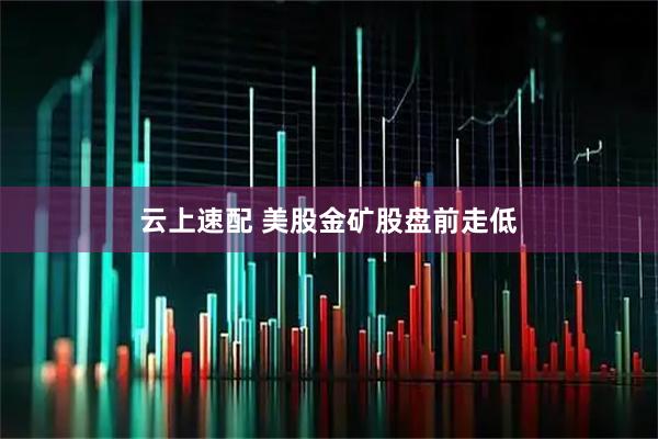 云上速配 美股金矿股盘前走低