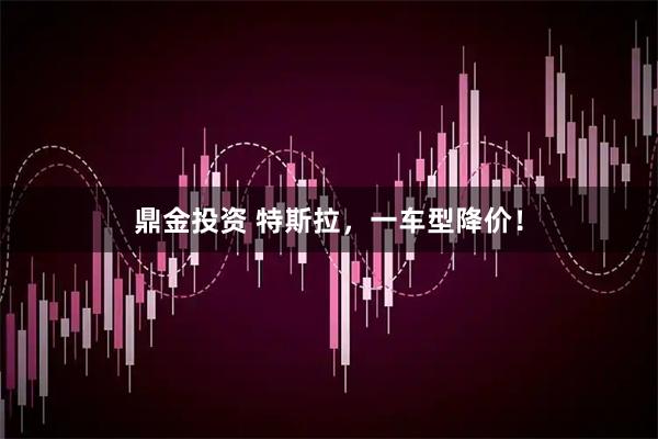 鼎金投资 特斯拉，一车型降价！