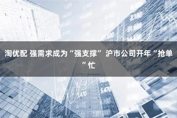 淘优配 强需求成为“强支撑” 沪市公司开年“抢单”忙