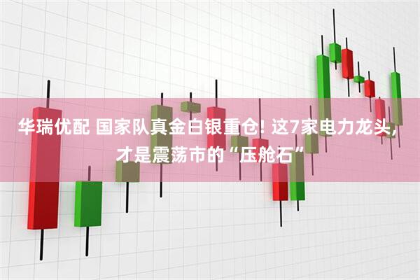 华瑞优配 国家队真金白银重仓! 这7家电力龙头, 才是震荡市的“压舱石”