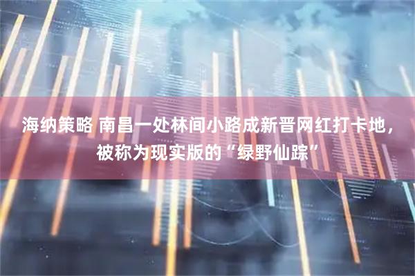海纳策略 南昌一处林间小路成新晋网红打卡地，被称为现实版的“绿野仙踪”