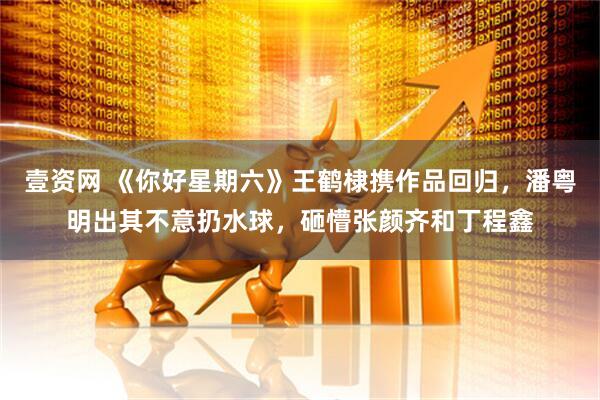壹资网 《你好星期六》王鹤棣携作品回归，潘粤明出其不意扔水球，砸懵张颜齐和丁程鑫