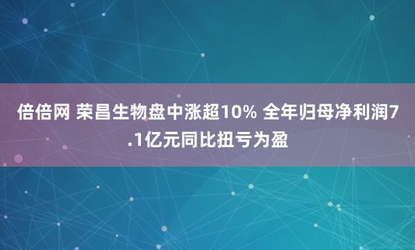 倍倍网 荣昌生物盘中涨超10% 全年归母净利润7.1亿元同比扭亏为盈