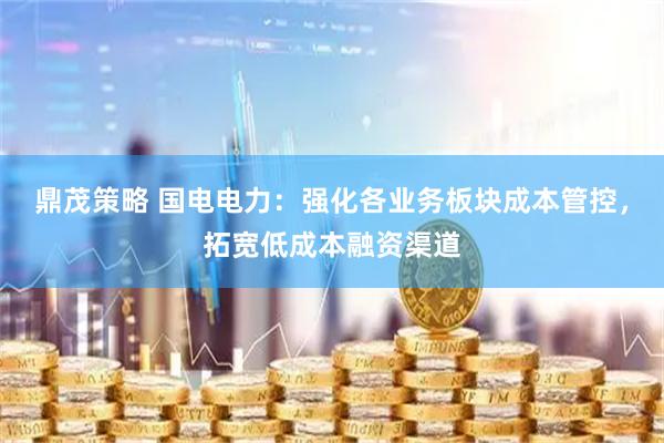 鼎茂策略 国电电力：强化各业务板块成本管控，拓宽低成本融资渠道