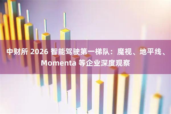 中财所 2026 智能驾驶第一梯队：魔视、地平线、Momenta 等企业深度观察
